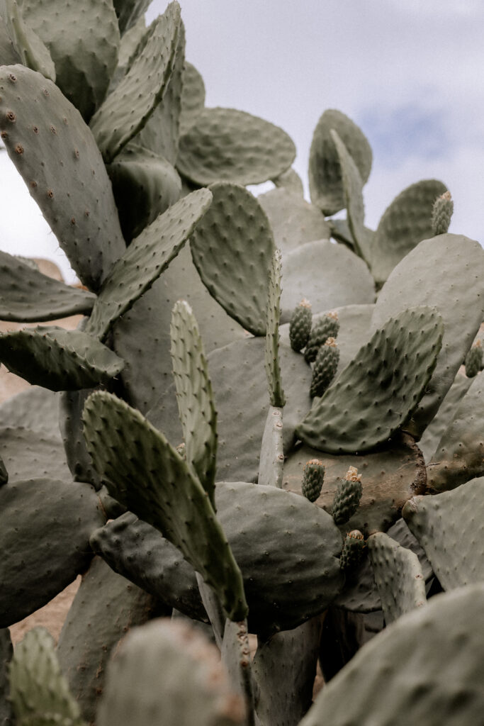 mallorca heiratsantrag verlobung Antrag engaged engagement isaidyes wedding proposal 11 683x1024 1