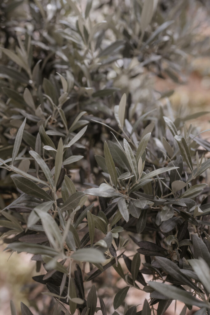 mallorca heiratsantrag verlobung Antrag engaged engagement isaidyes wedding proposal 21 683x1024 1