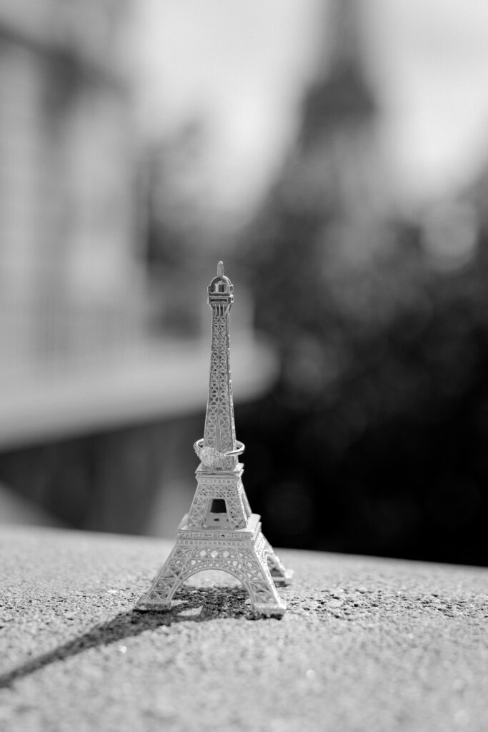 paris heiratsantrag verlobung Antrag engaged engagement isaidyes wedding proposal 6 1 683x1024 1