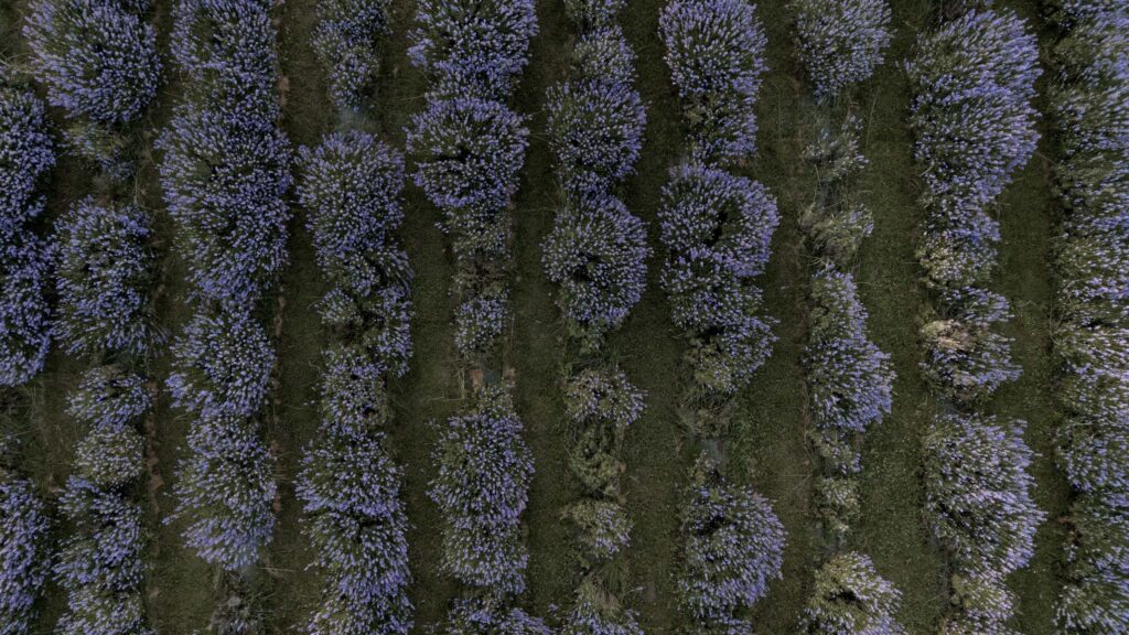 Château de Varennes France Wedding