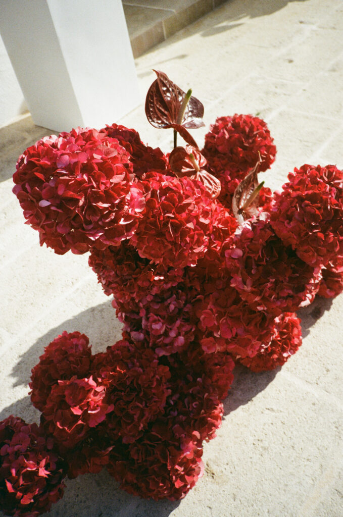 Analogue wedding photography Puglia wedding 35mm film photography 19 679x1024 1