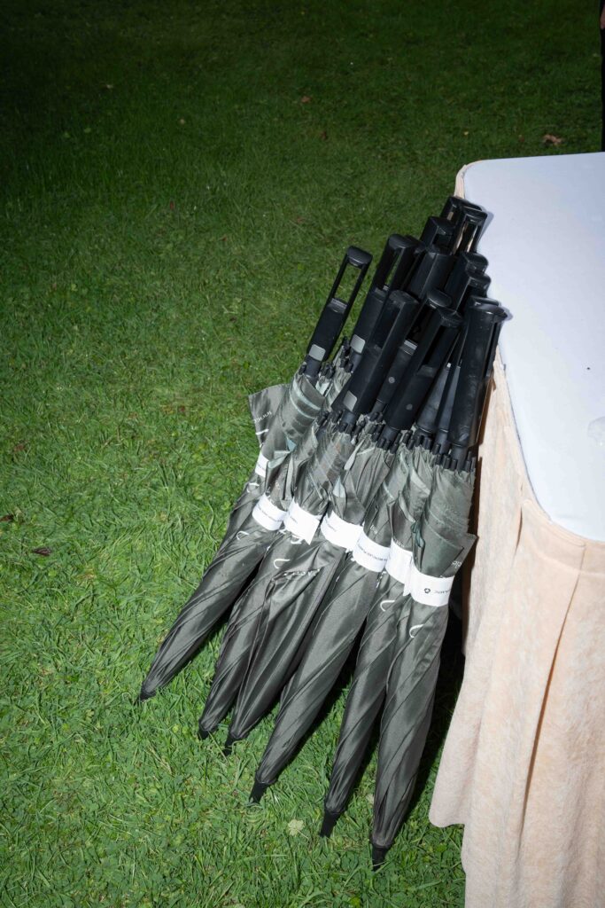 Wedding Ireland Castle Leslie 6