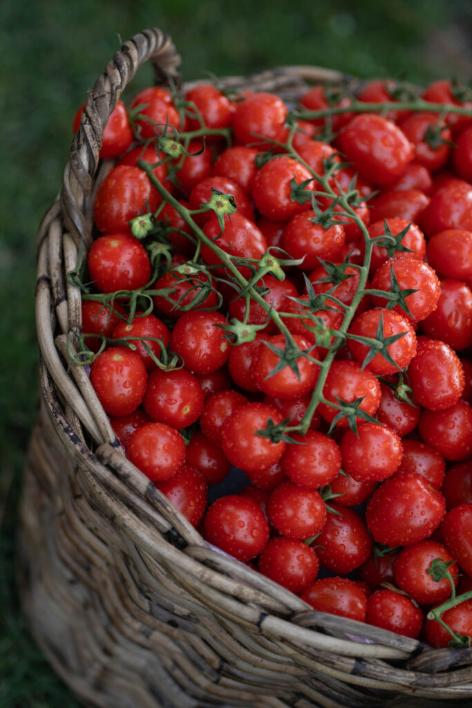 Getting Married in Tuscany: The Exclusive Guide to Your Luxury Tuscany Wedding 21 Pizza party welcome event Tuscan wedding