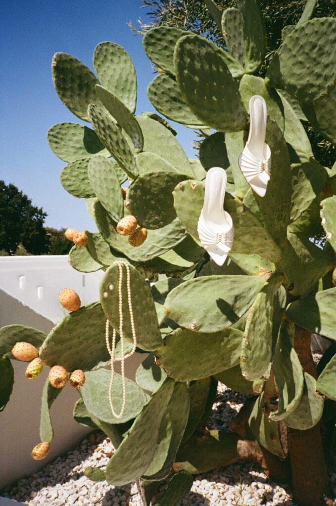 Masseria Borgo ritella