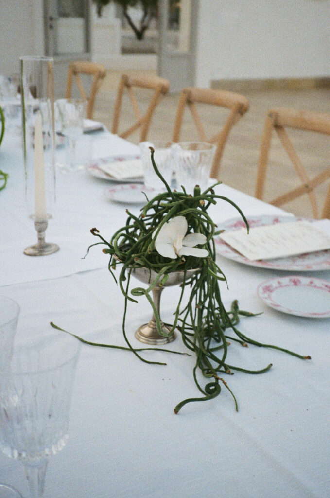 Puglia Italy wedding Masseria Borgo Ritella 81 679x1024 1