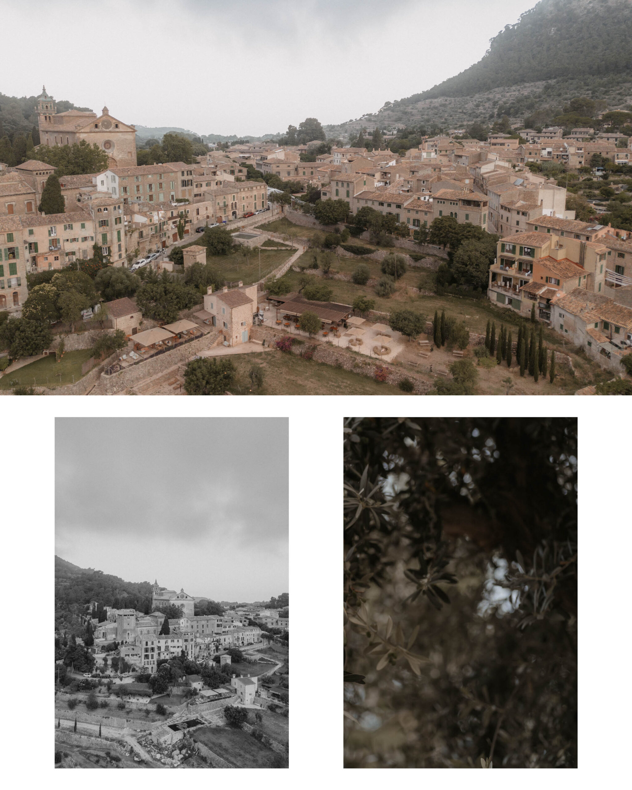 sonmarroig 28 scaled