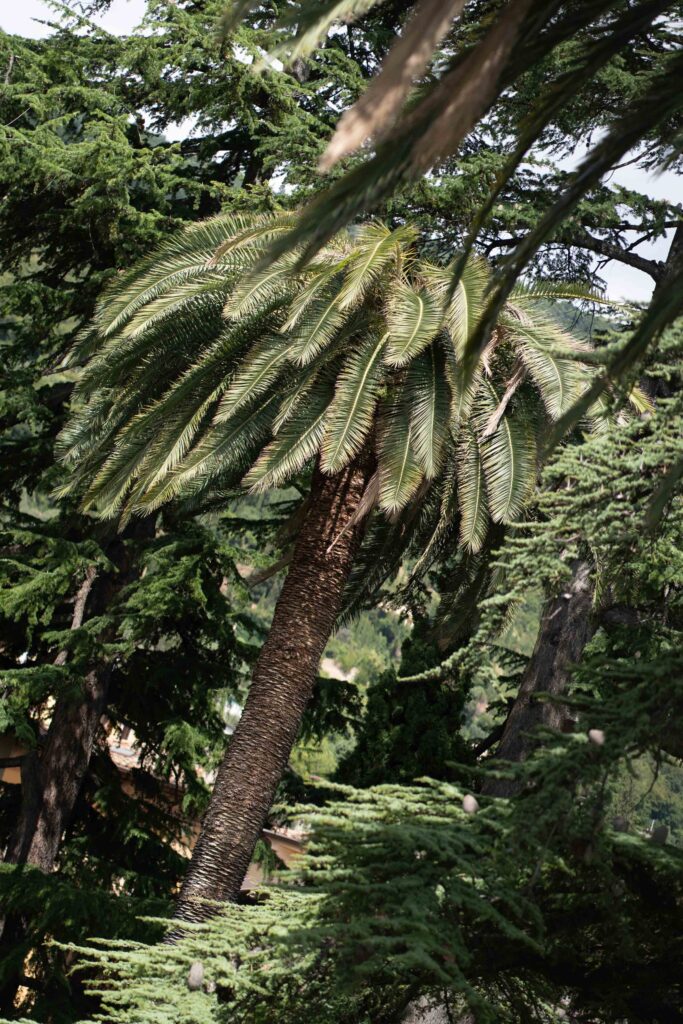 Getting Ready Grand Hotel Fasano Garten