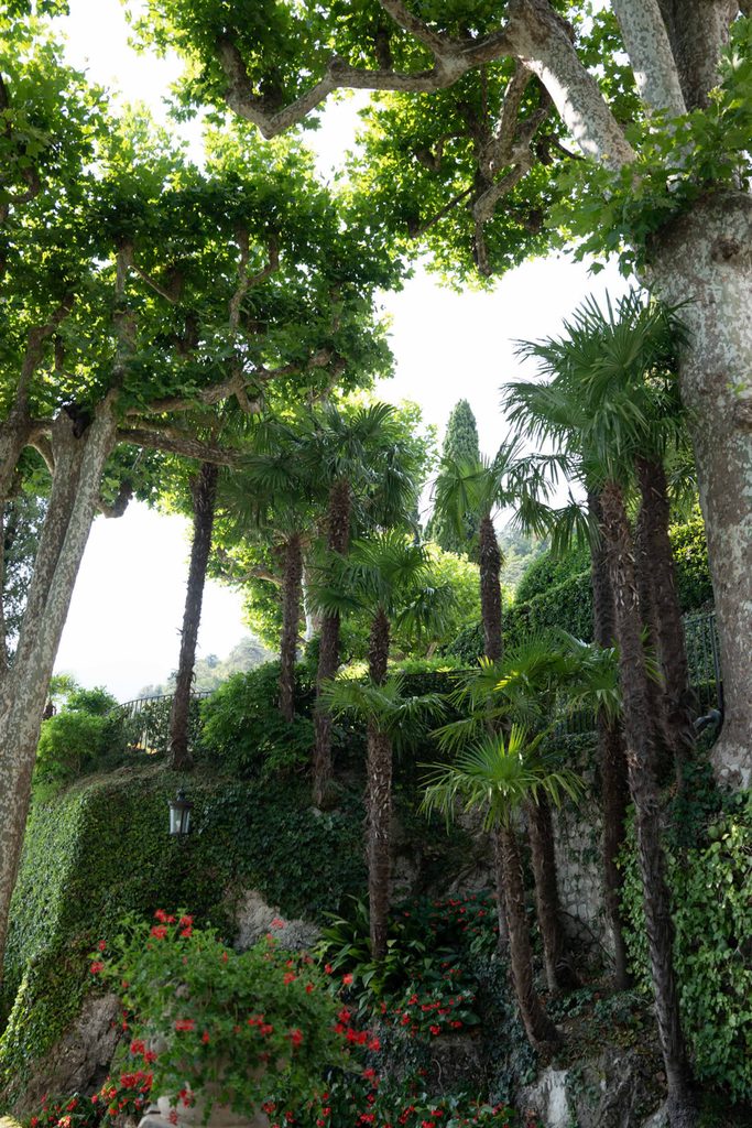 Villa del Balbianello Hochzeit: Kosten, Ablauf und die ikonischste Location am Comer See 47 Palms and large trees along a stone wall covered with ivy at Villa del Balbianello.