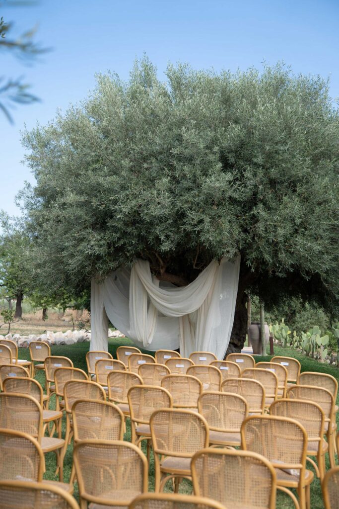 Reihen von Korbstühlen sind auf einen mit weißem Stoff drapierten Baum ausgerichtet, der für eine Zeremonie im Freien im Herzen von Sizilien, Italien, aufgestellt wurde.