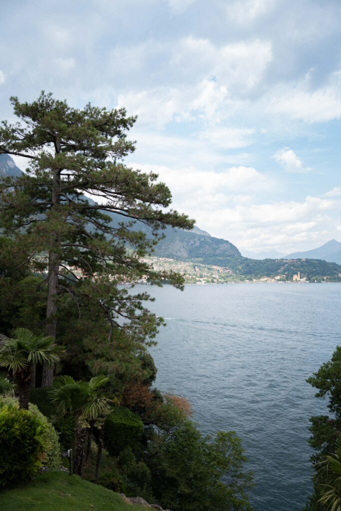 Hohe Bäume an einem See mit Bergen in der Ferne unter einem teilweise bewölkten Himmel vermitteln die ruhige Schönheit eines „Automatisch gespeicherten Entwurfs“ und fangen die Gelassenheit der Natur ein, als wäre sie in einem Entwurf festgehalten worden.