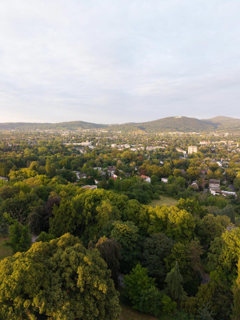 Luftaufnahme einer grünen, bewaldeten Landschaft mit vereinzelten Gebäuden und fernen Hügeln unter bewölktem Himmel, mit Stella Rheni im Vordergrund – ein idyllischer Ort, perfekt für eine unvergessliche Hochzeit oder für alle, die davon träumen, in Bonn zu heiraten.