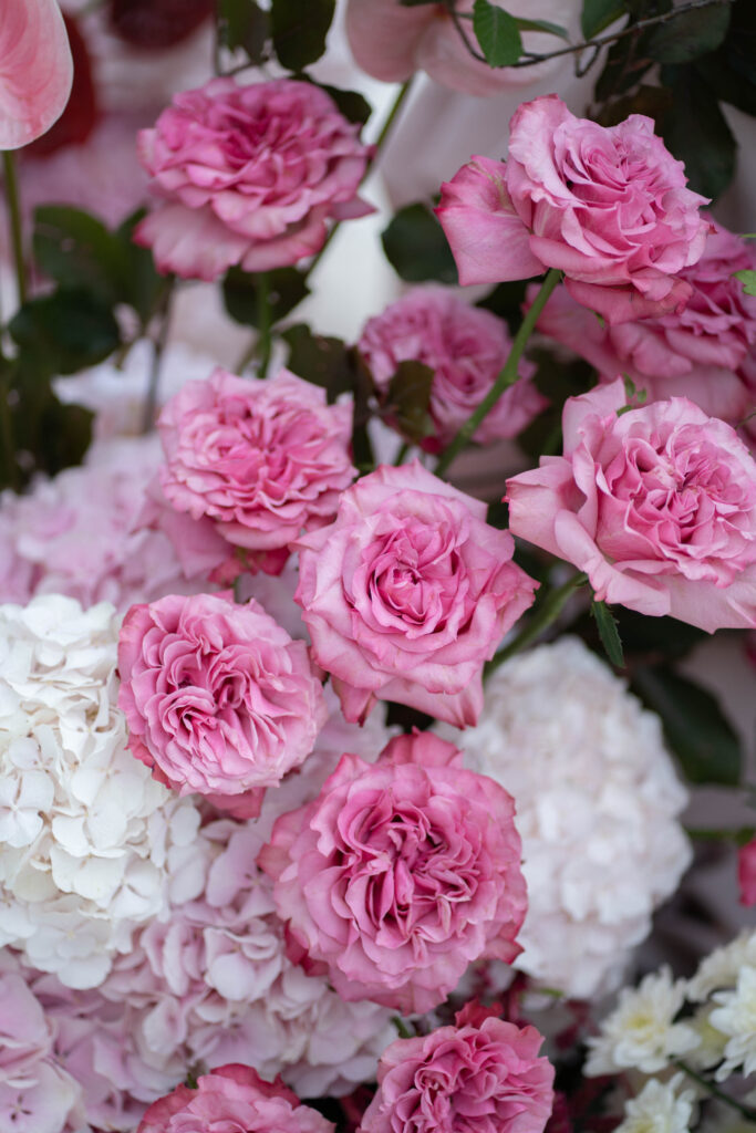 Rosa Rosen und weiße Hortensien, eng aneinander gereiht in einem floralen Arrangement im automatischen Entwurf-Stil.