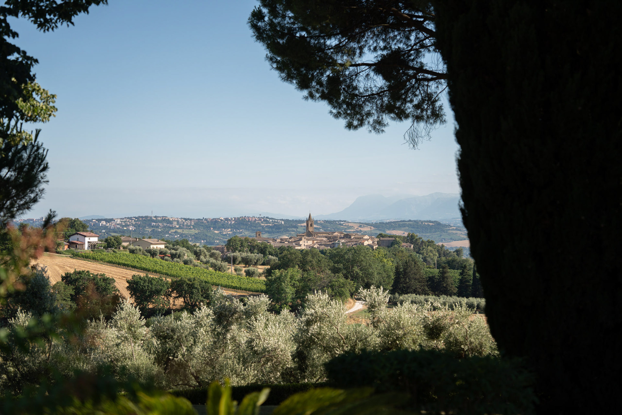 Hochzeit im Maniero Montecassiano: Euer Hochzeitswochenende in einer Boutique-Villa in den Marken 17 Maniero Montecassiano, ein Bergdorf, dessen Kirchturm durch die Olivenhaine hindurch zu sehen ist.
