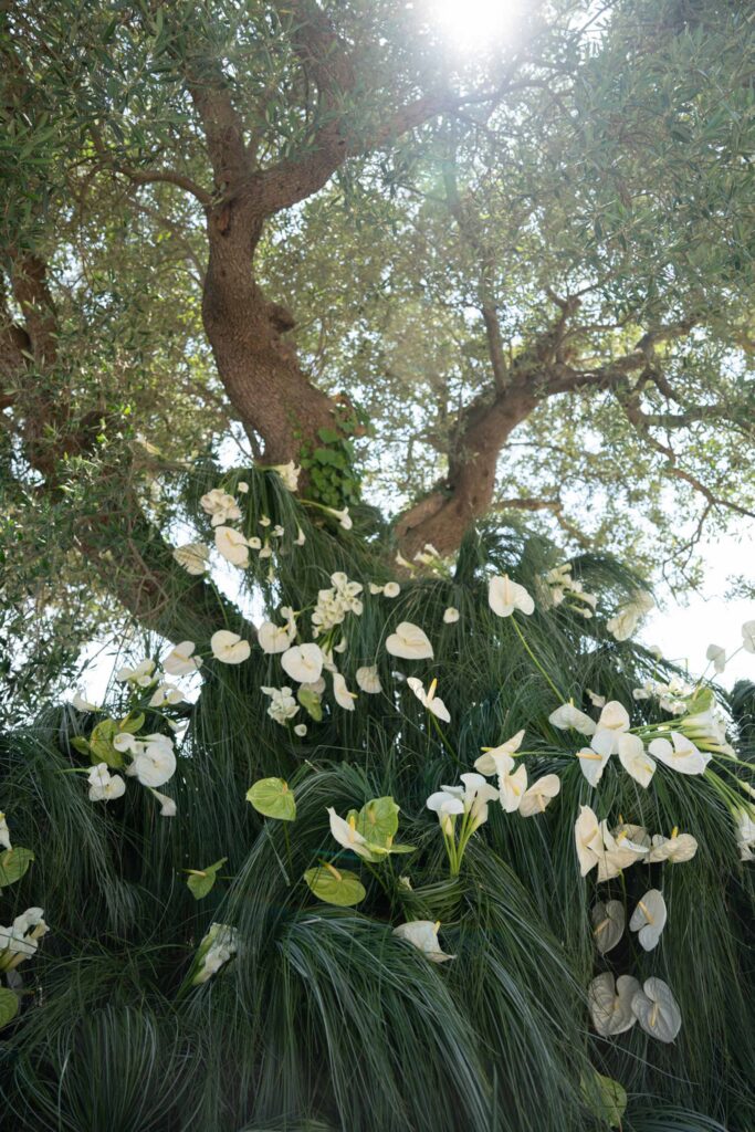 Hochzeit im Maniero Montecassiano: Euer Hochzeitswochenende in einer Boutique-Villa in den Marken 36 Weiße Anthurium-Blüten, arrangiert in Baumzweigen bei einer Hochzeit im Maniero Montecassiano.